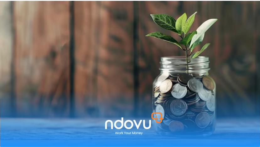 How to Invest KES 500,000 in Kenya: A Strategic Guide for 2025